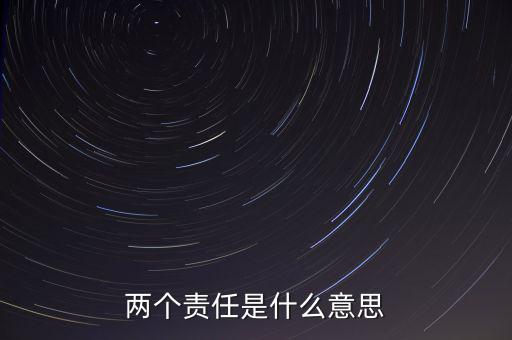 兩個責(zé)任是什么意思