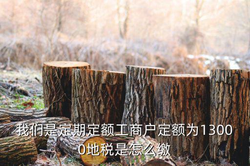 地稅定期定額戶是什么意思，我們是定期定額工商戶定額為13000地稅是怎么繳