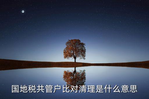 什么是國(guó)地稅共管，國(guó)稅地稅共管公司都需要每個(gè)月報(bào)稅嗎意思就是說(shuō)我每個(gè)月地稅
