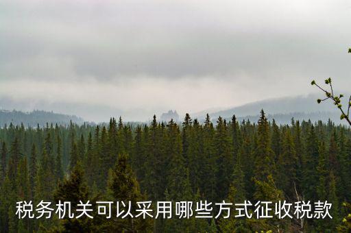 稅務(wù)局按什么征收稅務(wù)，稅務(wù)機(jī)關(guān)可以采用哪些方式征收稅款