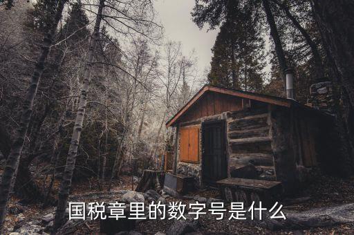 發(fā)票章中間數(shù)字是什么，國稅章里的數(shù)字號是什么