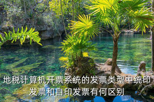 越國(guó)稅自印是什么意思， 是什么意思 發(fā)票嗎 一般印著這個(gè)的 就是發(fā)票 對(duì)嗎