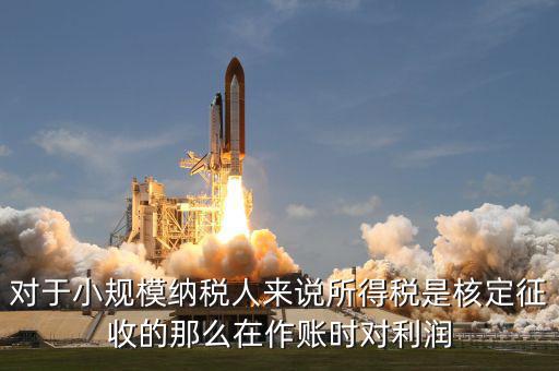 核定征收 有什么利，我不知道核定征收與查賬征收那個對公司有利些