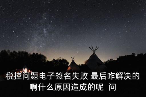 什么是稅控簽名，報(bào)稅時(shí)數(shù)字簽名是甚么意思