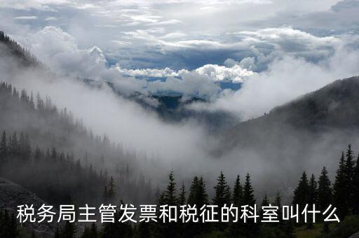 國稅稅務(wù)局都有什么科，稅務(wù)局主管發(fā)票和稅征的科室叫什么