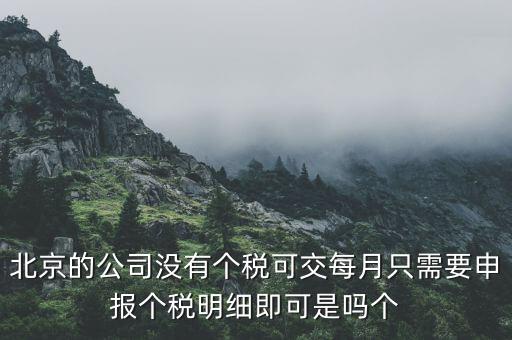 北京的公司沒有個稅可交每月只需要申報(bào)個稅明細(xì)即可是嗎個