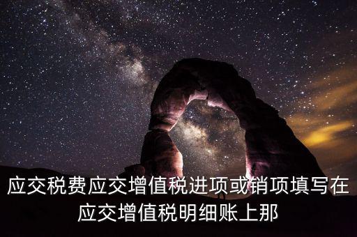 扣繳稅款登記填什么稅，在個人所得稅代扣代繳軟件中所要填寫的稅務(wù)登記號是填國稅的還是地