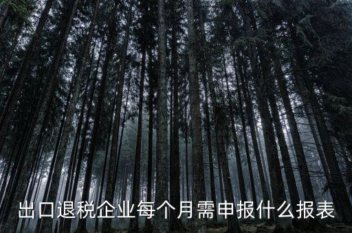 出口退稅每月需做什么申報(bào)，外貿(mào)企業(yè)第一次申報(bào)出口退稅需要準(zhǔn)備哪些資料