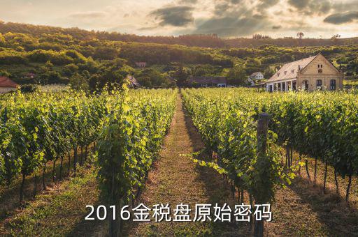 2016金稅盤(pán)原始密碼