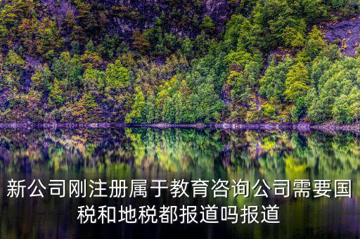 教育咨詢納什么稅，請(qǐng)問從教育事業(yè)的公司要納稅嗎