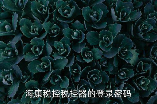 稅控盤 密碼是什么，?？刀惪囟惪仄鞯牡卿浢艽a