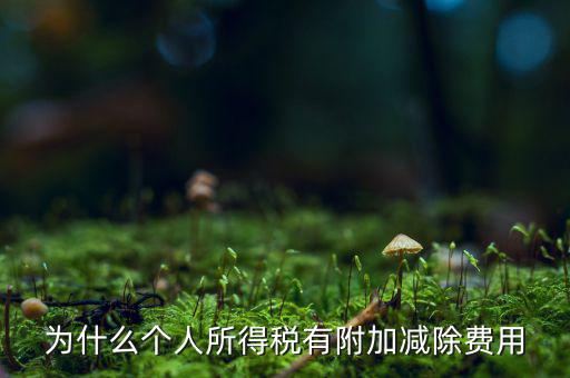 個(gè)稅減除費(fèi)用是什么，個(gè)人所得稅費(fèi)用扣除什么意思