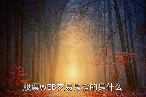e稅通是什么，微軟認(rèn)證是什么意思
