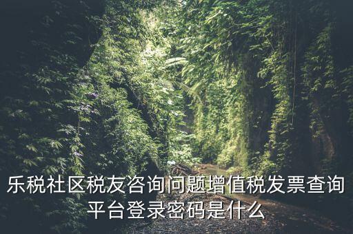 發(fā)票認證平臺登陸密碼是什么，國稅局發(fā)票軟件里用戶代碼和密碼是什么
