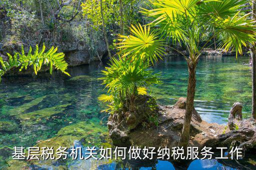 納稅服務(wù)是指什么，納稅服務(wù)的三個主體是什么