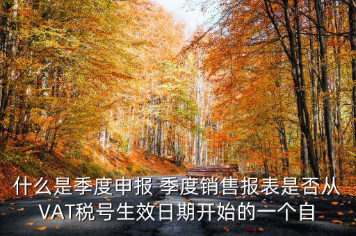 什么是季度申報(bào)表，有關(guān)企業(yè)申報(bào)的季度報(bào)表