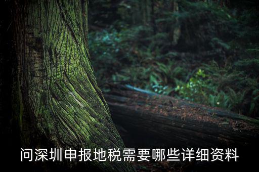 深圳市的地稅申報(bào)是什么，深圳市地稅怎么申報(bào)