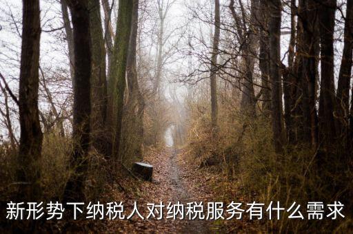 納稅服務(wù)的要求是什么，新形勢(shì)下納稅人對(duì)納稅服務(wù)有什么需求