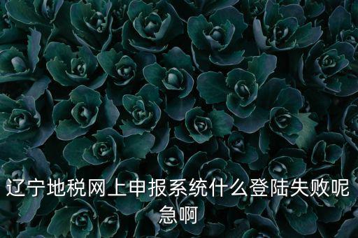遼寧網(wǎng)上報稅為什么進不去，遼寧地稅網(wǎng)上申報系統(tǒng)什么登陸失敗呢急啊