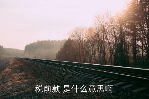 什么是稅前項(xiàng)目費(fèi)，稅前款 是什么意思啊