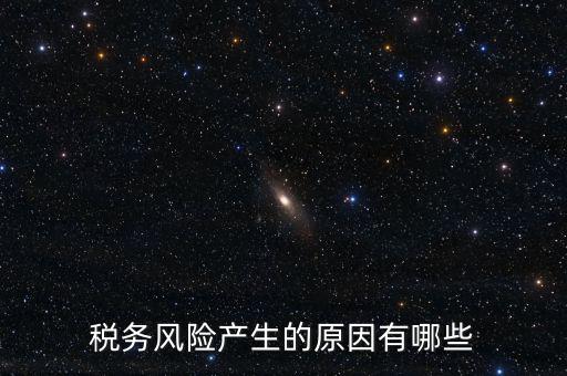 稅務風險產(chǎn)生的原因有哪些