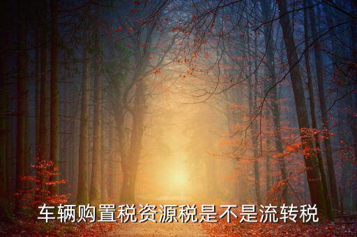 資源稅改革是什么，資源稅是地稅還是國稅