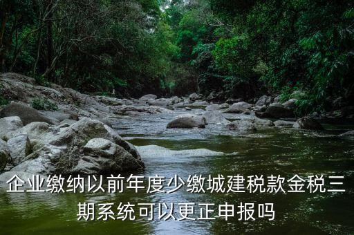 金稅三期更正申報需要什么資料，企業(yè)繳納以前年度少繳城建稅款金稅三期系統(tǒng)可以更正申報嗎