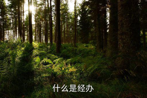稅務(wù)文書經(jīng)辦是什么意思，什么是經(jīng)辦