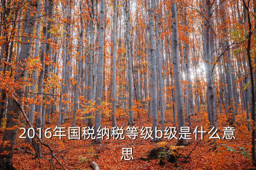 納稅信用等級評 什么用，企業(yè)納稅信用等級有何用處
