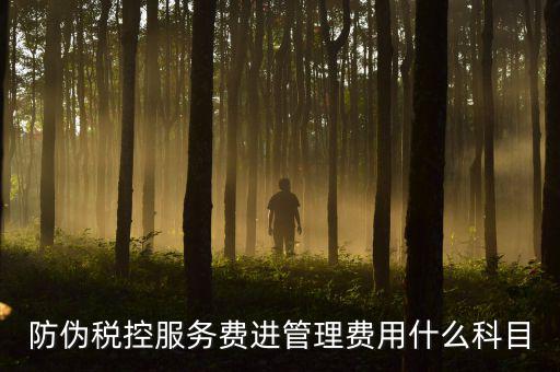 防偽稅控服務(wù)費是什么意思，繳納電子鑰匙的年費是防偽稅控服務(wù)費嗎