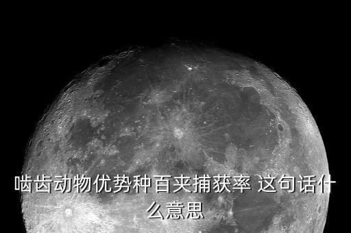 所得捕捉率是什么，餐飲業(yè)中的捕獲率是什么意思