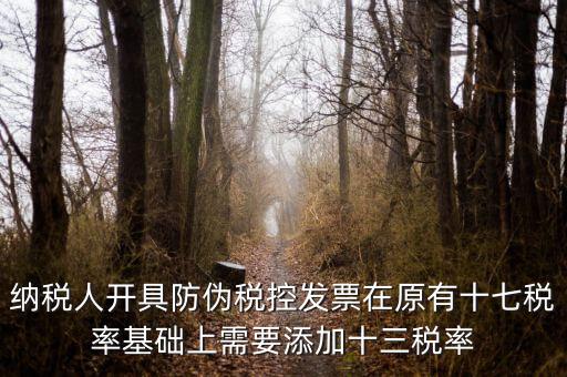 金稅卡加稅率有什么，金稅盤稅額問(wèn)題