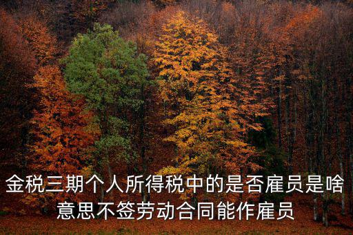 金稅非雇員什么意思，地稅金三期 個(gè)稅申報(bào)表中的雇員非雇員是什么意思 該填哪些人
