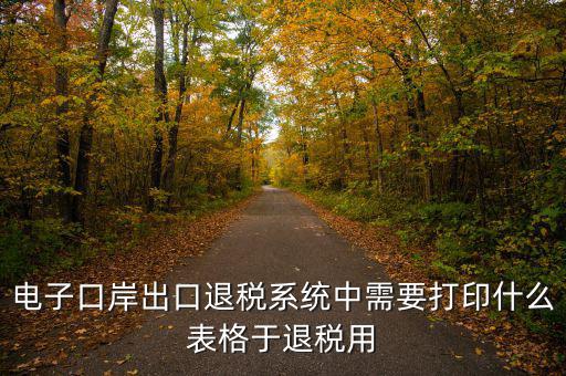 福建退稅備案的表格是什么樣的，出口退稅資格認定表