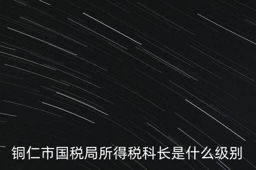 地稅局股長是什么級別，地稅里的職位 股長是什么級別