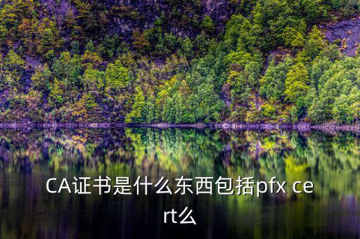 什么叫ca證書(shū)，什么事CA證書(shū)