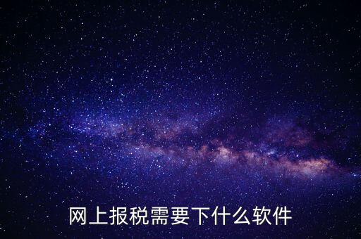 報國稅都安裝什么軟件，網(wǎng)上報稅需要下什么軟件