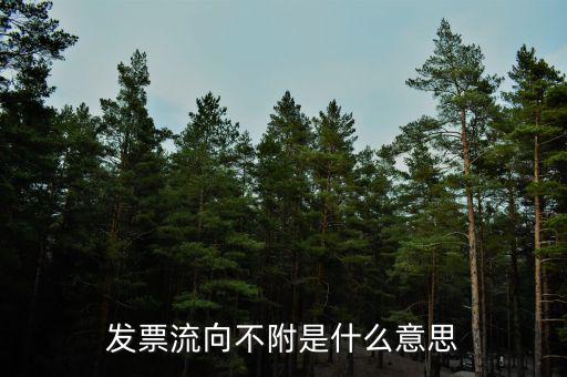 什么是流向票，發(fā)票流向不附是什么意思