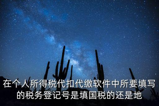 在個人所得稅代扣代繳軟件中所要填寫的稅務登記號是填國稅的還是地