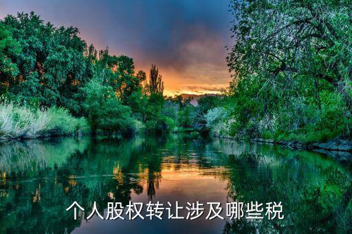 個人股權(quán)轉(zhuǎn)讓都涉及什么稅，法人股東股權(quán)轉(zhuǎn)讓分別涉及哪些稅種
