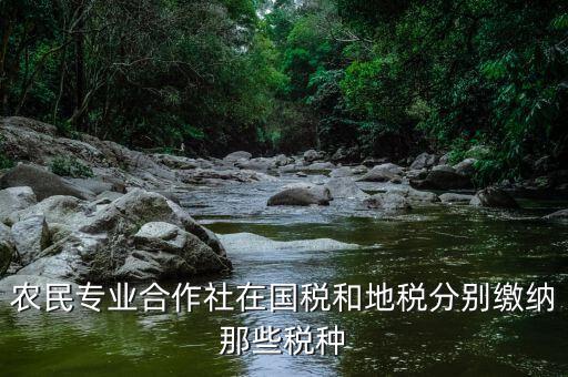 稅務(wù)局向合作社收取什么稅，農(nóng)民專(zhuān)業(yè)合作社在國(guó)稅和地稅分別繳納那些稅種