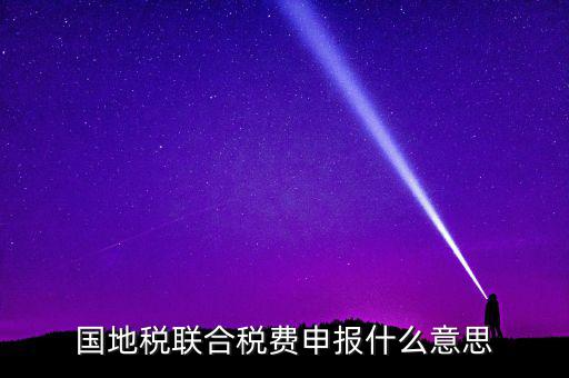 國稅地稅聯(lián)合有什么用，國地稅聯(lián)合稅費(fèi)申報(bào)什么意思