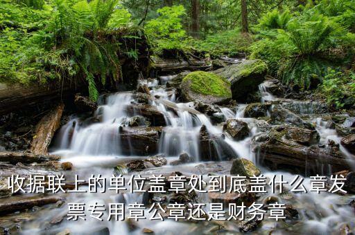 收據(jù)上面蓋什么章，收款收據(jù)上蓋什么章是財務章還是公章