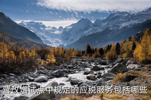 應(yīng)稅服務(wù)中止指什么，小規(guī)模申報(bào)表中應(yīng)稅服務(wù)什么意思