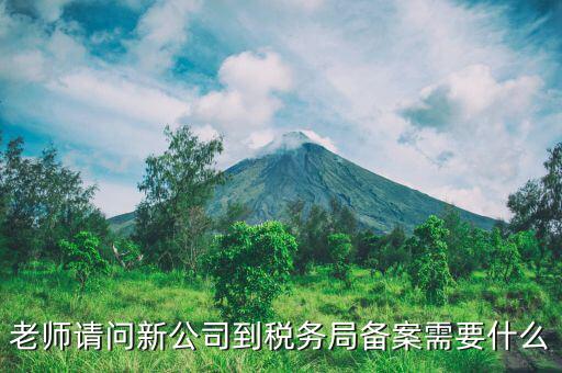 稅務(wù)報備需要什么材料，稅務(wù)備案需要哪些資料