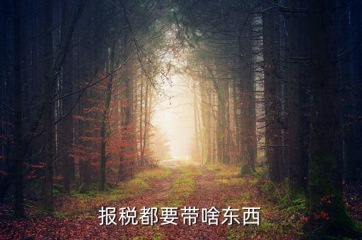 大連國(guó)稅局報(bào)稅帶什么東西，報(bào)稅都要帶啥東西