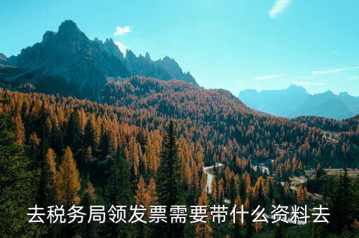 領(lǐng)定額發(fā)票需要帶什么，去稅務(wù)局領(lǐng)發(fā)票需要帶什么資料去