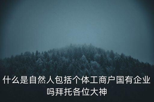 什么是稅務(wù)中的自然人，會計(jì)中自然人所指的是那種人