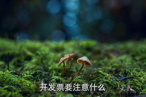 第一次開票注意什么，開發(fā)票要注意什么
