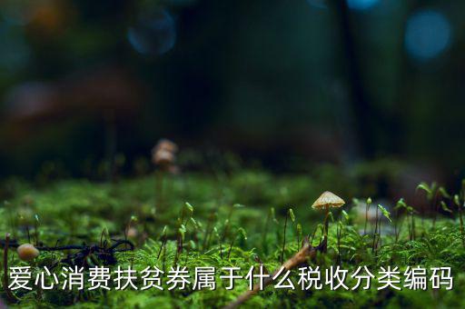 愛(ài)心消費(fèi)扶貧券屬于什么稅收分類編碼